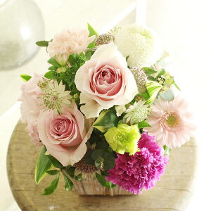 アレンジメント 花 お見舞い 生花の人気商品 通販 価格比較 価格 Com アレンジメント 花 お見舞い 生花の人気商品 通販 価格比較 価格 Com