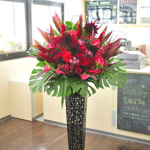 A[gX^hԁ@uL^@i3~R[X@OWA[_iԌnjyݒuEEDzaj a a o[XfB TvCY 蕨 t[Mtg v[