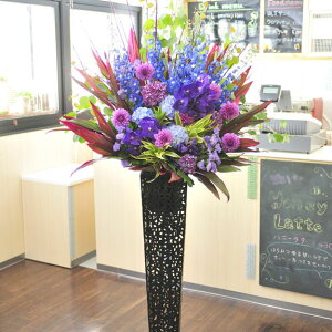 A[gX^hԁ@uL^@i3~R[X@u[lXip[v×u[njyݒuEEDzaj a a o[XfB TvCY 蕨 t[Mtg v