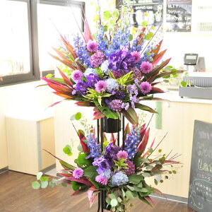 X^hԁ@i3~R[X@u[lXip[v×u[njyݒuEEDzaj a a o[XfB TvCY o 蕨 t[Mtg v[g j 