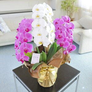 Ӓ@_ѐYb܎ܔ_ƎY@3{@2FMIXiEsNjaj j JXj ACj j Vzj zj ސEj 蕨 t[Mtg v[g 