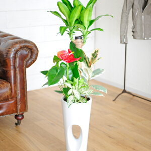 yNxQEYi͂EzJXEJƁEACEړ]EaȂǂ̂jɁIfUCd̂ۂ茊J픫lCϗtA@񂹐A@7@pM