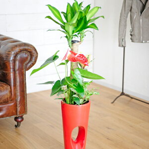 yNxQEYi͂EzJXEJƁEACEړ]EaȂǂ̂jɁIfUCd̂ۂ茊J픫lCϗtA@񂹐A@7@ԊpM