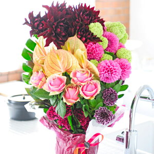 fUCi[Yt[@_TCh@`؂₩Ȉꎞ`a j JXj ACj wj AEj 蕨 t[Mtg v[g j   bZ[W