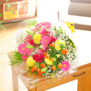 yz\z܂ԑ@STCYJXj ړ]j ACj ij ސEj a o[YfB j h] 蕨 t[Mtg v[g j   bZ