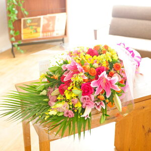 yz\z܂ԑ@MTCYJXj ړ]j ACj ij ސEj a o[YfB j h] 蕨 t[Mtg v[g j   bZ