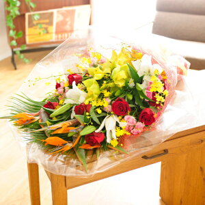 yz\z܂ԑ@LTCYJXj ړ]j ACj ij ސEj a o[YfB j h] 蕨 t[Mtg v[g j   bZ