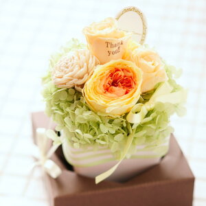 ydtjԁzNAP[X̃bZ[Wt[@pXeAWMiIW̃vU[uht[jƓd͂aj aj o[XfB 蕨 t[Mt