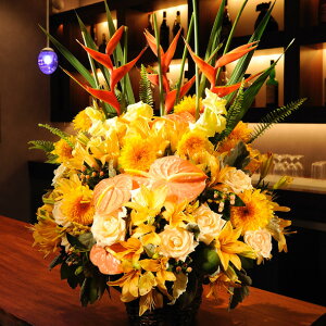 �f�U�C�i�[�Y�t�����[M�T�C�Y ���܂����@�i3���~�R�[�X�j�J�X�j�� �J�Əj�� �J�@�j�� �J�Ǐj�� �I�[�v���L�O ���蕨 �t�����[�M�t�g �v���[���g ���j�� ���� �������� ���b�Z�[�W�J�[�h��