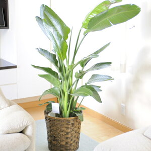 yzϗtA@Xg`AEI[KX^@10oXPbgJo[tyԌtJ[htzv[g t[Mtg JXj JƏj J@j JǏj ړ]j j V