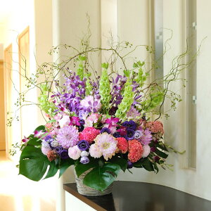 fUCi[Yt[LTCY S[WXnip[vj@i4~R[XjJXj JƏj J@j JǏj I[vLO 蕨 t[Mtg v[g j  