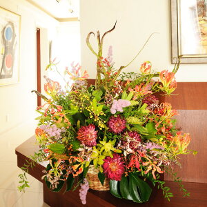 �����f�U�C�i�[�Y�t�����[L�T�C�Y ���܂����@�i4���~�R�[�X�j�J�X�j�� �J�Əj�� �J�@�j�� �J�Ǐj�� �I�[�v���L�O ���蕨 �t�����[�M�t�g �v���[���g ���j�� ���� �������� ���b�Z�[�W�J�[