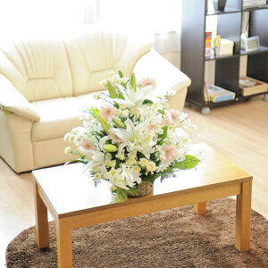 yjԂƓdzBzzOK̃AWgt[STCY@EWFn@1~R[Xyznz @ Cj މ@j 蕨 t[Mtg v[