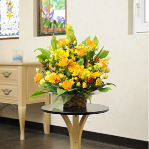 AWgt[STCY gFn1~R[Xaj aj a a o o[XfB 蕨 t[Mtg v[g j  zOK  bZ[WJ[h