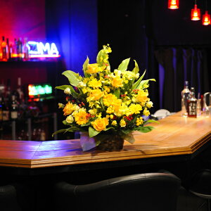 AWgt[STCY gFn1~R[Xo oj uj j \ Cxg  y 蕨 t[Mtg v[g j  zOK  bZ