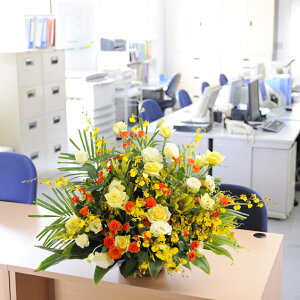 yjԂƓdzBzzOK̃AWgt[@MTCY@FEIWn@1.4~R[XyznzJXj JƏj I[vLO 蕨 t[Mtg v