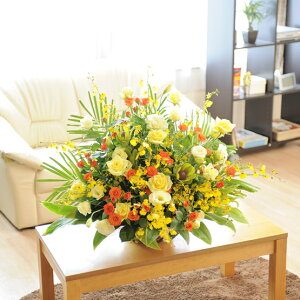 ^AWgt[ FEIWn1.4~R[Xaj aj a a o o[XfB zOK 蕨 t[Mtg v[g j   bZ[