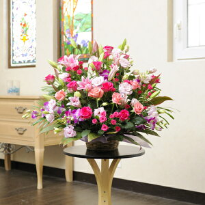 zOK̑^AWgt[sNFn1.4~R[Xo oj uj j \ Cxg  y 蕨 t[Mtg v[g j  zOK 