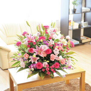 zOK̑^AWgt[sNn1.4~R[Xaj aj a a o o[XfB 蕨 t[Mtg v[g j  zOK  b