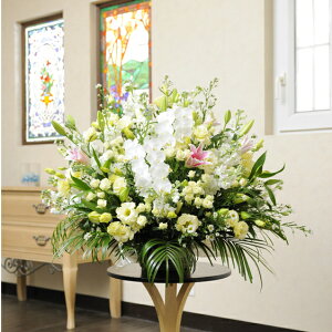 ^AWgt[@ EWFn2~R[Xaj aj a a o o[XfB 蕨 t[Mtg v[g j  zOK  bZ[WJ