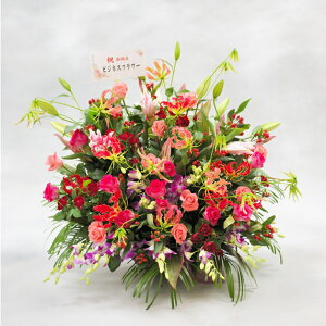 ^AWgt[@ԐFEsNn2~R[XJXj JƏj J@j JǏj I[vLO 蕨 t[Mtg v[g j  zOK  bZ[