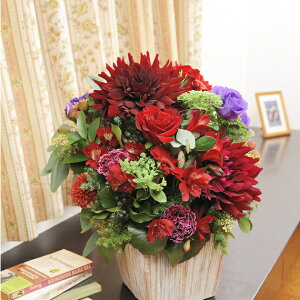 ydijdjƂԂꏏɂ͂zfUCi[Y@AWgt[MTCY@TCY@Vivid@RediԌnjo oj uj j \ Cxg y 蕨 t[