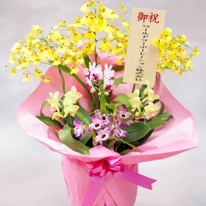 結婚祝い 花 鉢植えの人気商品 通販 価格比較 価格 Com