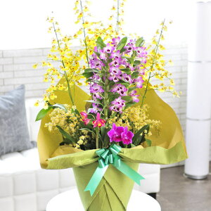 結婚祝い 花 鉢植えの人気商品 通販 価格比較 価格 Com