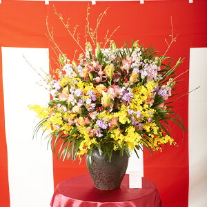 ԁ@MTCYƏj wj Џj AEj ACj ސEj z 蕨 t[Mtg v[g j   bZ[WJ[h y