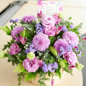 yzyDƉԂ̗ZfUCzEhoXPbg@Noble@p[v@fUCi[YAWgt[j fUCi[Y ƑnI nCZX t t[Mtg  v