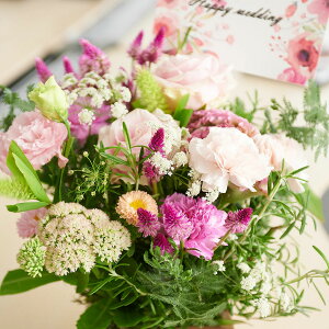 yzyDƉԂ̗ZfUCzEbhoXPbg@sN@fUCi[YAWgt[j fUCi[Y ƑnI nCZX t t[Mtg  v[g 