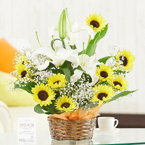 ひまわり 誕生日 花 Diy 工具の人気商品 通販 価格比較 価格 Com