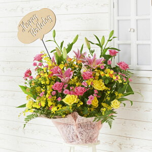 yzzn聄3D̃bZ[WDmHappy Birthdayio^jnt@AWgt[STCY@܂@1~R[XKij AWgt[ ĉ t