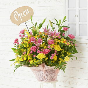 yzzn聄3D̃bZ[WDmOpenio^jnt@AWgt[STCY@܂@1~R[XKij AWgt[ ĉ t[Mt