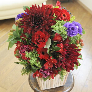 yzAWgt[MTCY@Vivid RediԌnjfUCi[Yt[ j   JS t[Mtg  v[g 蕨 Sz D bZ[WJ[h