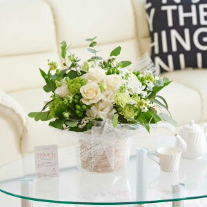 yzAWgt[niMTCYja j j Vzj ސEj uC_ EFfBO  蕨 t[Mtg v[g j  