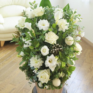 yzAWgt[LTCY@Refreshing CoolnessiO[EnjfUCi[Yt[ j   JS t[Mtg  v[g 蕨 Sz D 