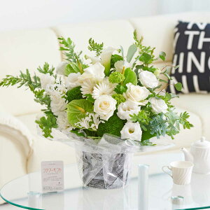 yzAWgt[niLTCYja j j Vzj ސEj uC_ EFfBO  蕨 t[Mtg v[g j  