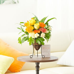 yzAWgt[@v`ER[^X^h@r^~CG[IWiSTCYjj ~jTCY oXPbg CeA  t t[Mtg  v[