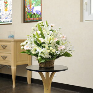 AWgt[STCY EWFn1~R[X܏j ܏j ͏j ACj h] 蕨 t[Mtg v[g j  zOK  bZ[WJ[h