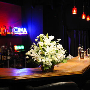 zOK̃AWgt[STCY EWFn1~R[XJXj JƏj J@j JǏj I[vLO 蕨 t[Mtg v[g j  zOK  