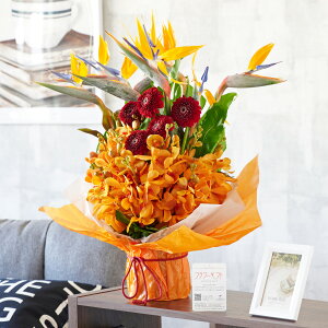 AWgt[@ɊyԂƂ܂ԍނ̃~bNXiLTCYjj fUCi[Y i  CeA  t@V[[ t[Mtg  v[g 蕨 S