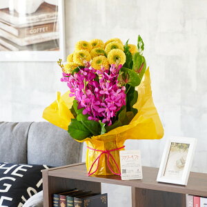 AWgt[@K[xƂ܂ԍނ̃~bNXiMTCYjj fUCi[Y K[x   CeA  t@V[[ t[Mtg  v[g 