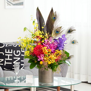 AWgt[@ẺHt܂dā@S[WXiMTCYj ؂₩ I IV j v[g 蕨 Sz  D bZ[WJ[h 