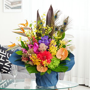 AWgt[@ẺHt܂dā@S[WXiLTCYj ؂₩ I IV j v[g 蕨 Sz  D bZ[WJ[h 