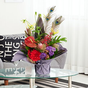 AWgt[@ẺHt܂dā@VbNiSTCYj ؂₩ I IV j v[g 蕨 Sz  D bZ[WJ[h 