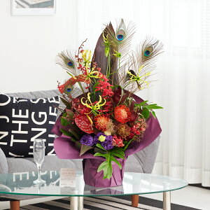 AWgt[@ẺHt܂dā@VbNiMTCYj ؂₩ I IV j v[g 蕨 Sz  D bZ[WJ[h 