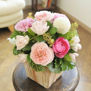 yzAWgt[SSTCY@GirlishnessisNnjfUCi[Yt[ j   JS t[Mtg  v[g 蕨 Sz bZ[WJ[h