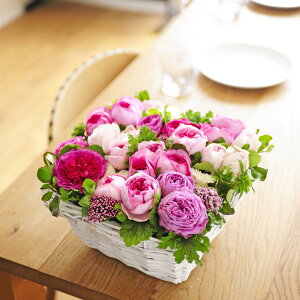 AWgt[@o@XNGA^oXPbgdāisNnjj oYj aj o[XfB uC_  a 蕨 t[Mtg v[g j 