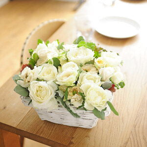 AWgt[@o@XNGA^oXPbgdāinjj oYj aj o[XfB uC_  a 蕨 t[Mtg v[g j  